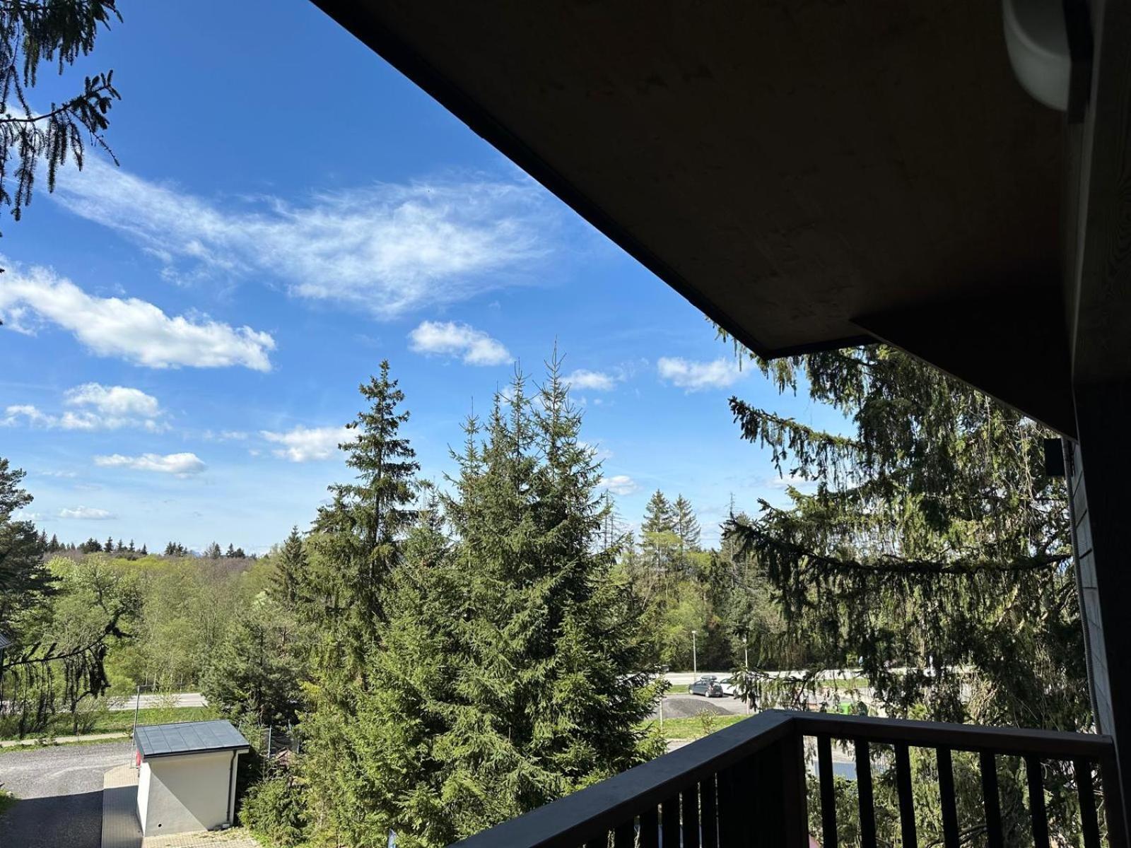 Apartman Pod Smrekom Demaenovska Dolina Esterno foto